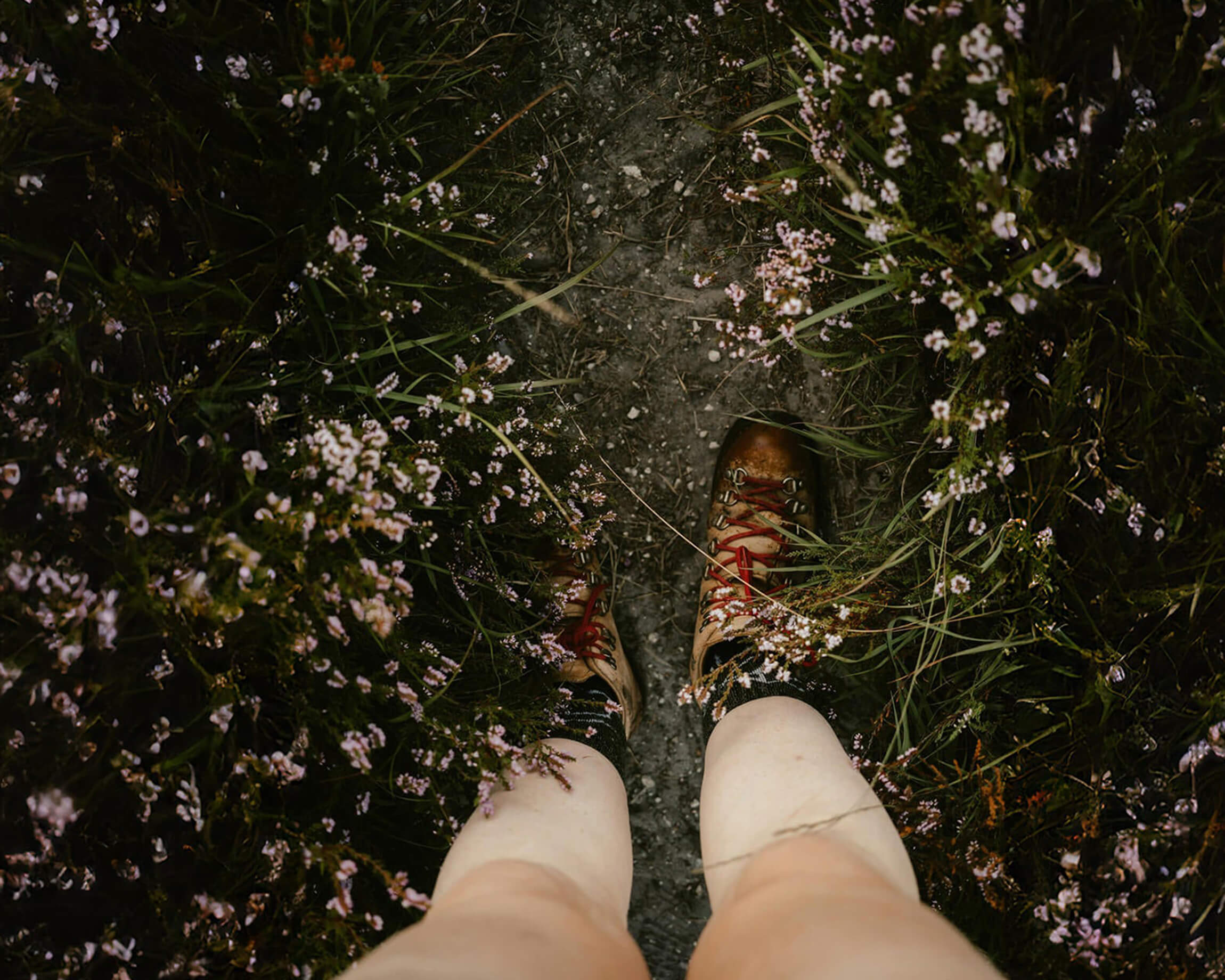 Field Notes: How Scent Can Transport You