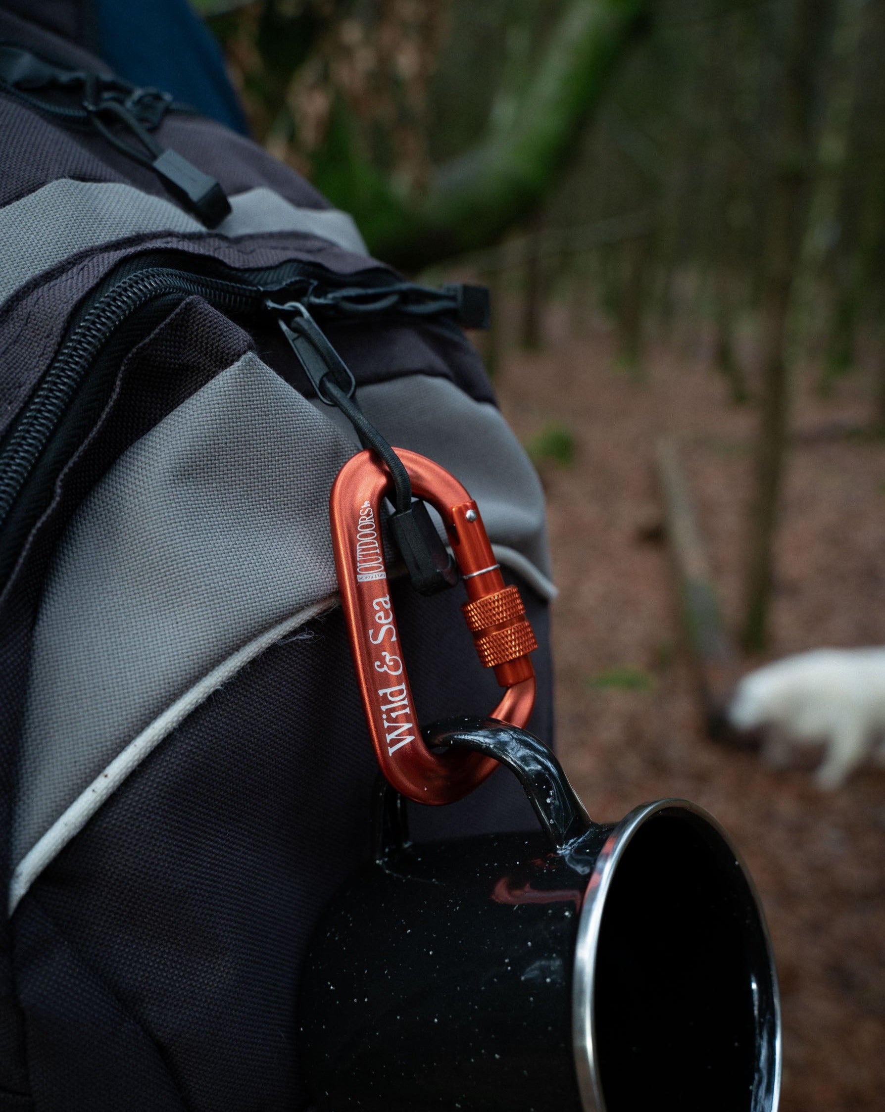 Wild + Sea Locking Carabiner