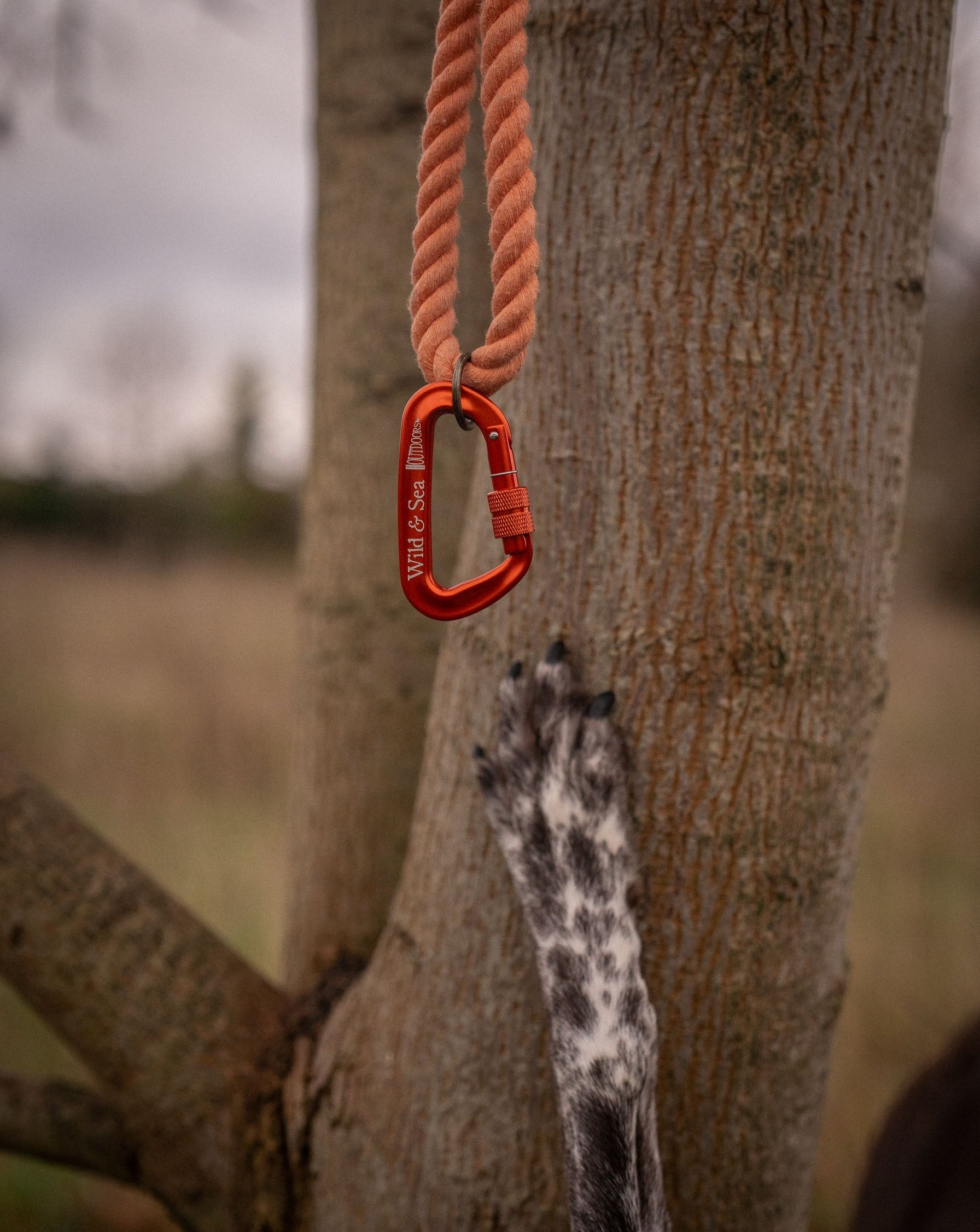 Wild + Sea Locking Carabiner