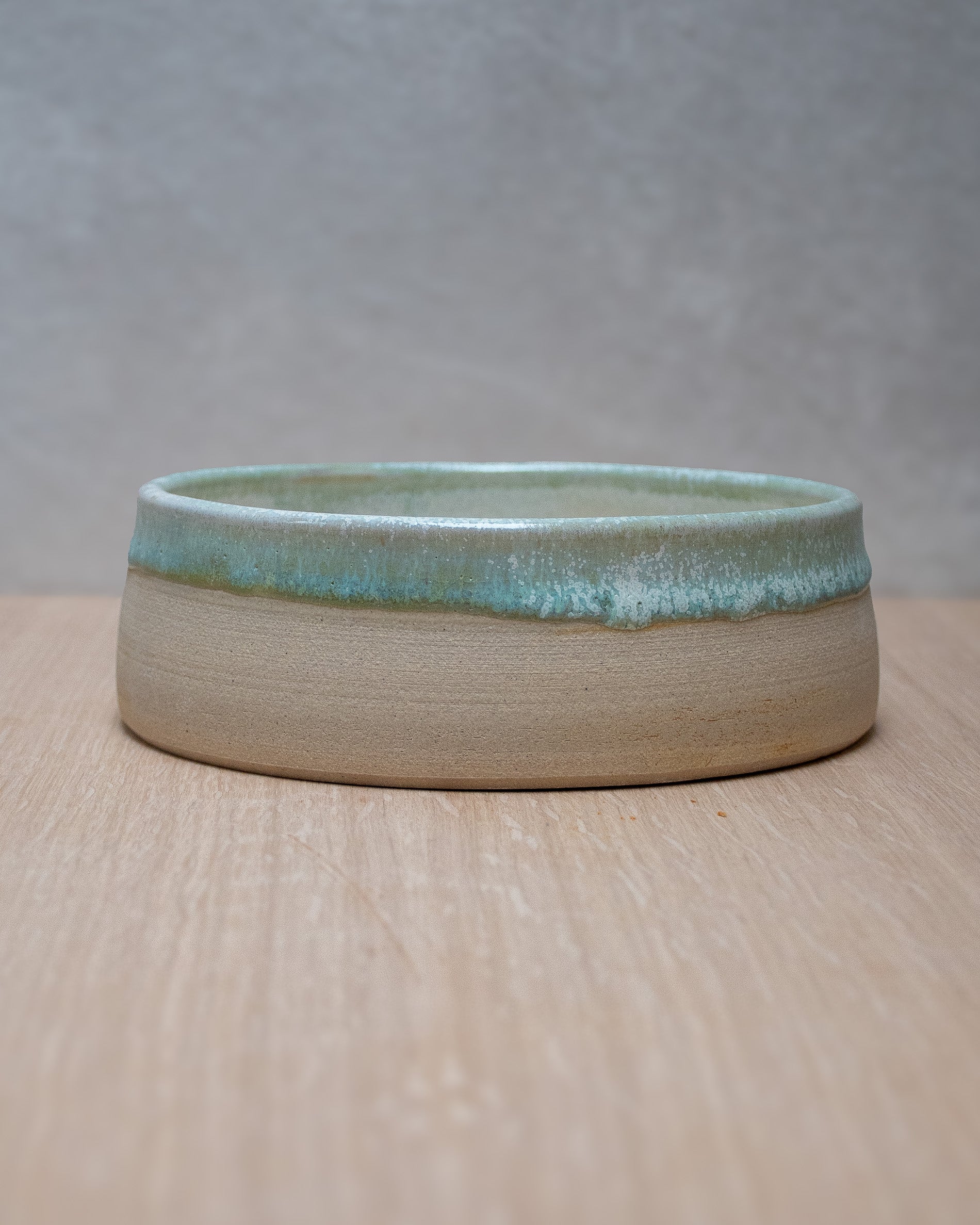 Lichen - Hand Thrown Dog Bowl #1 (15cm x 5cm)