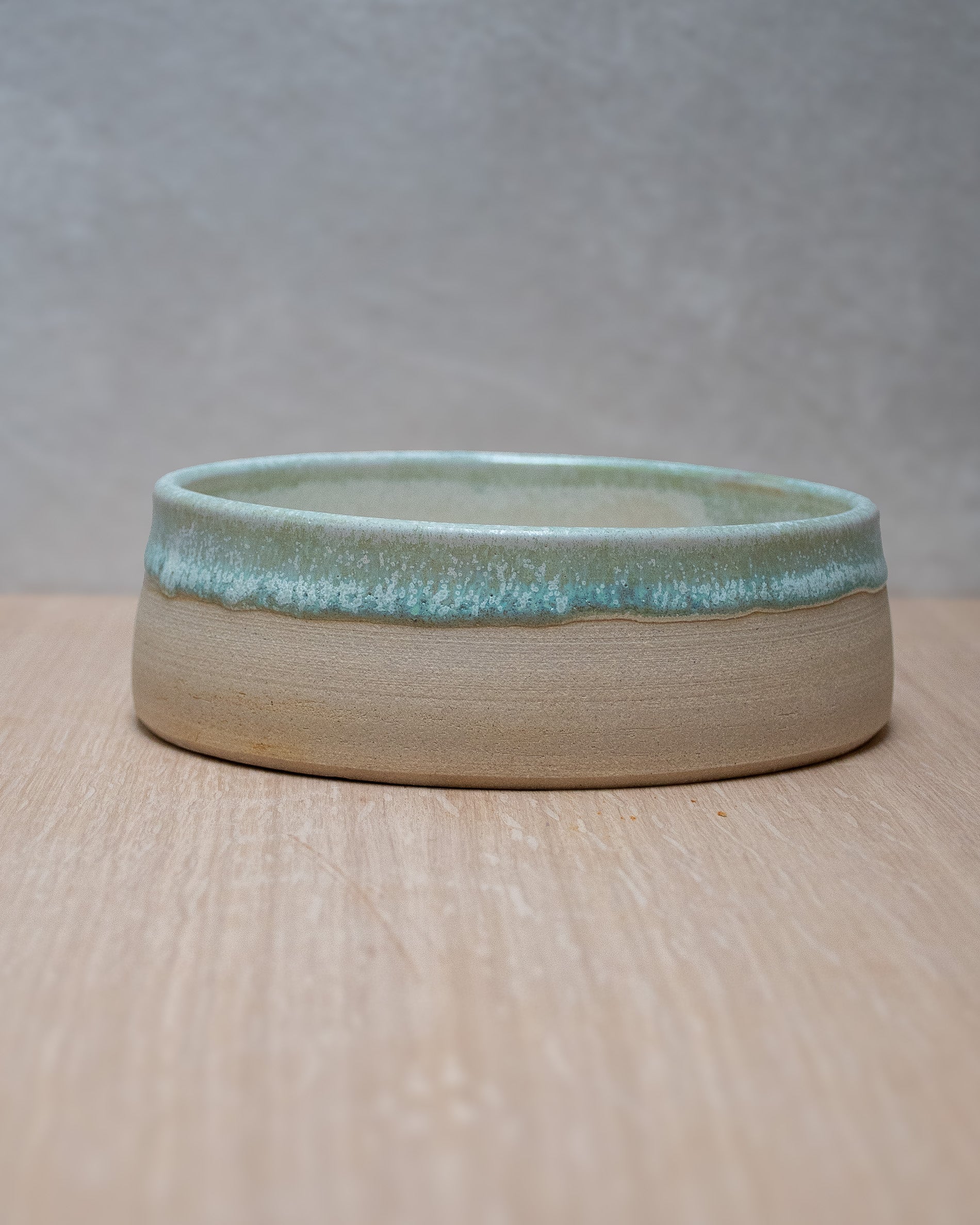 Lichen - Hand Thrown Dog Bowl #1 (15cm x 5cm)