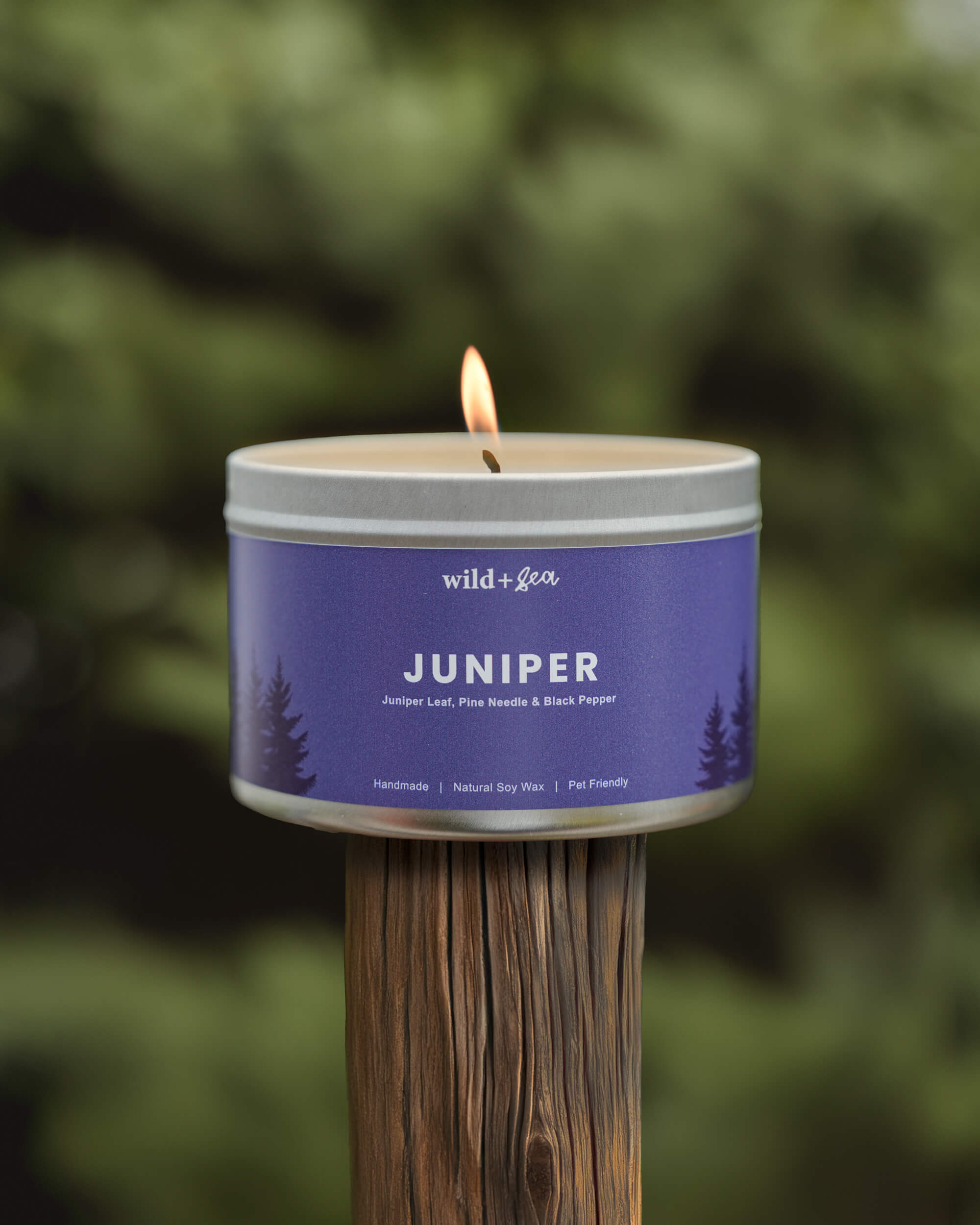 JUNIPER | Juniper Leaf, Pine & Black Pepper | Soy Wax Pet Friendly Candle