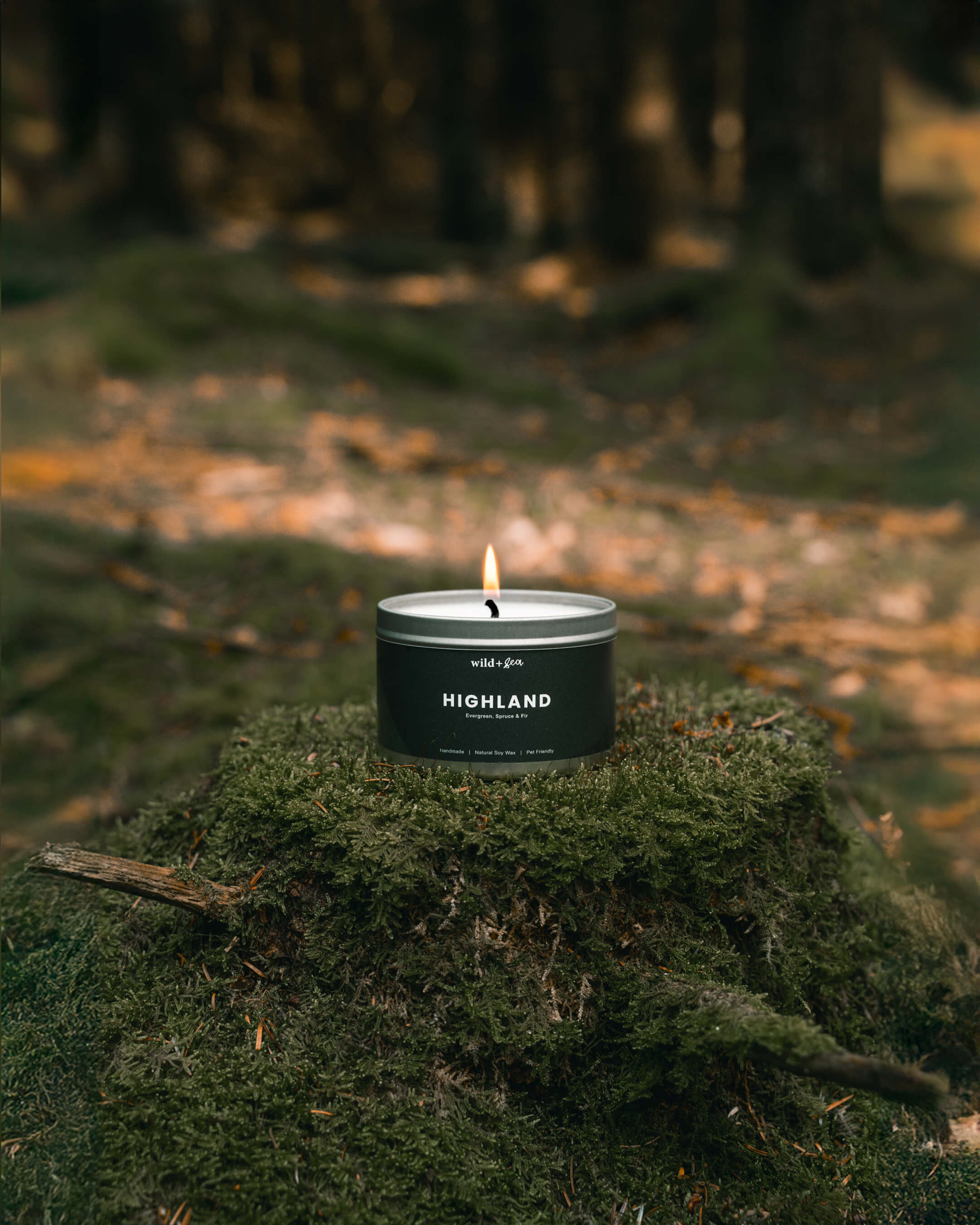 HIGHLAND | Evergreen, Spruce + Fir | Soy Wax Pet Friendly Candle