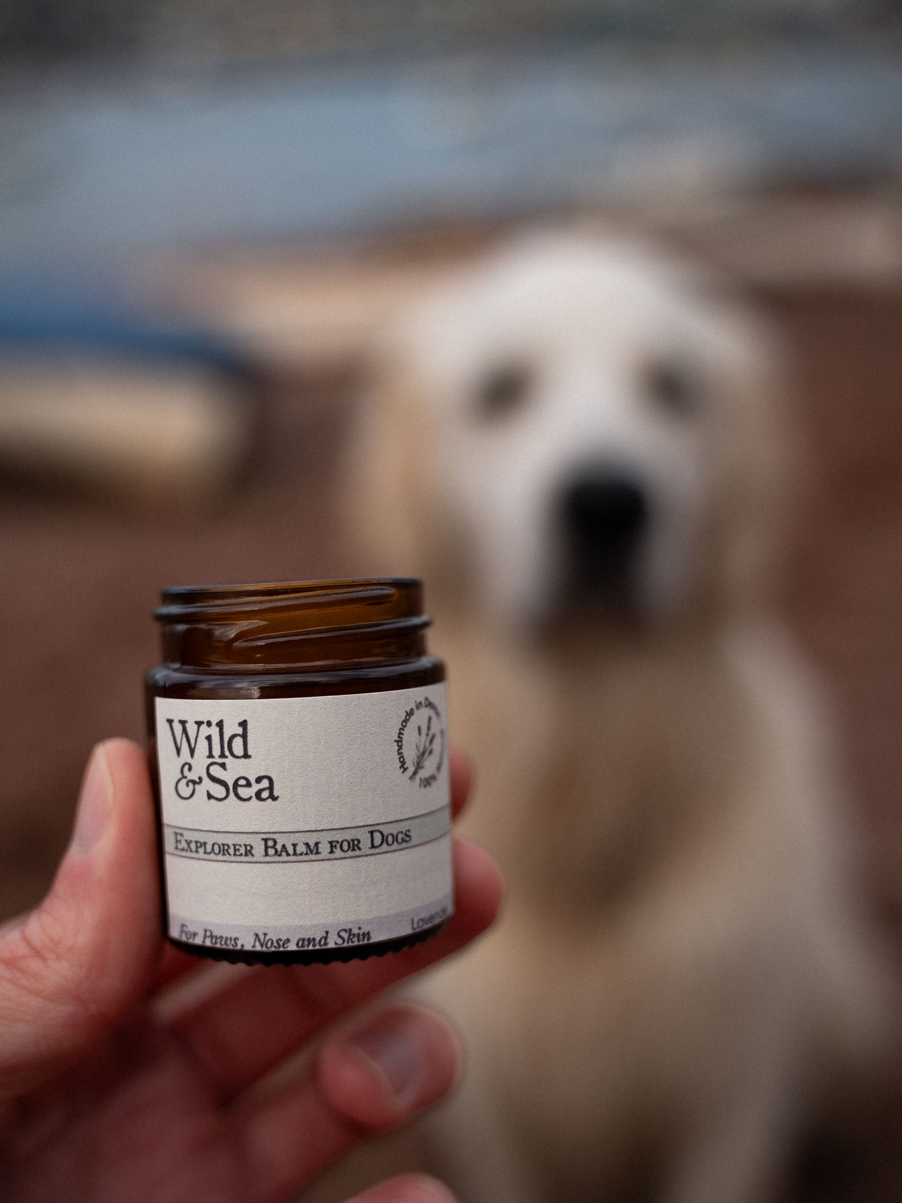 Explorer Dog Paw Nose Skin Balm Wild Sea