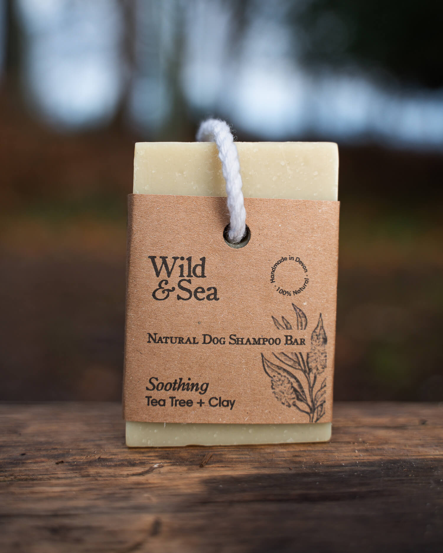 Dog Wild Sea dog-wild-sea
