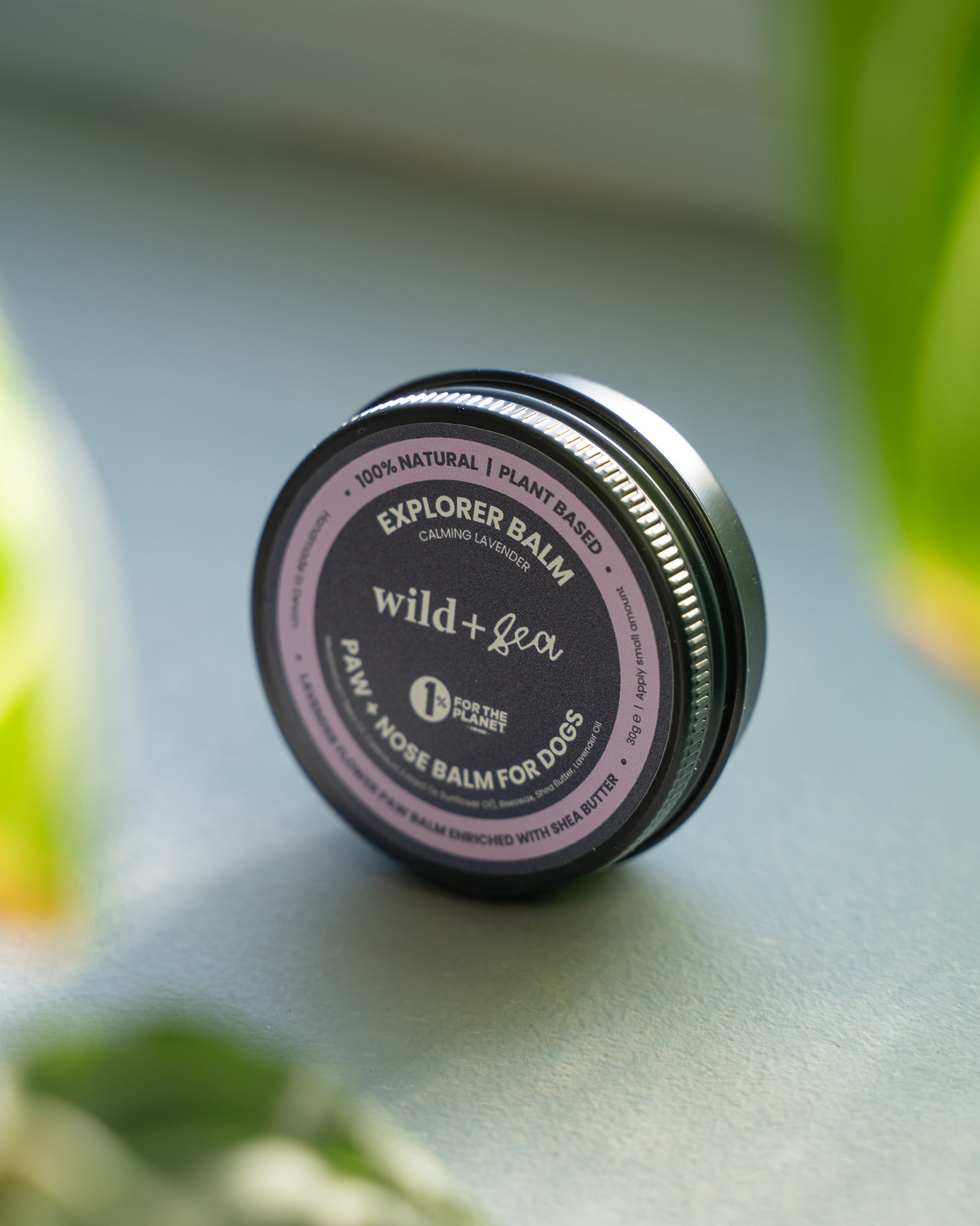 Explorer Balm for Dog Paws + Nose