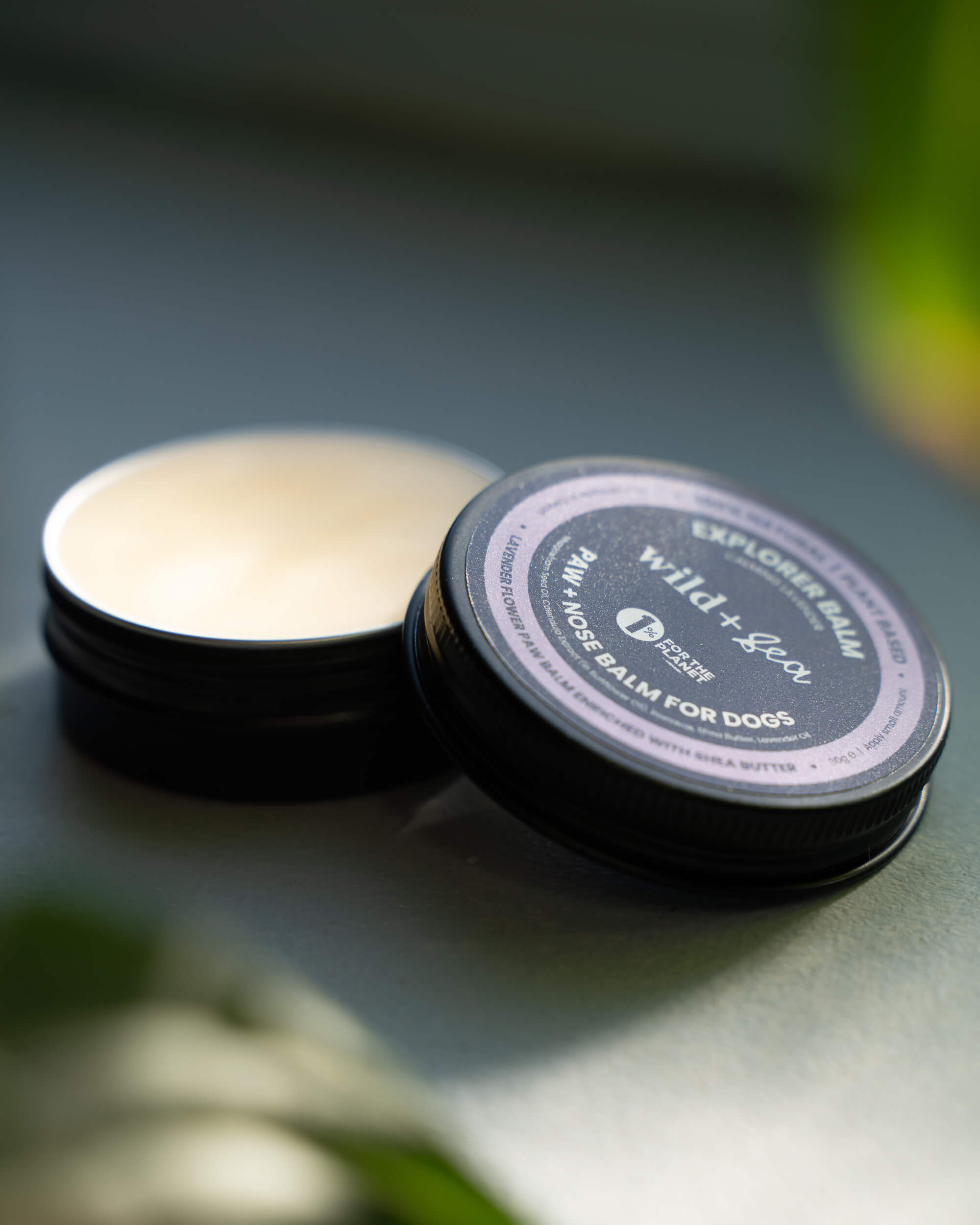 Explorer Balm for Dog Paws + Nose