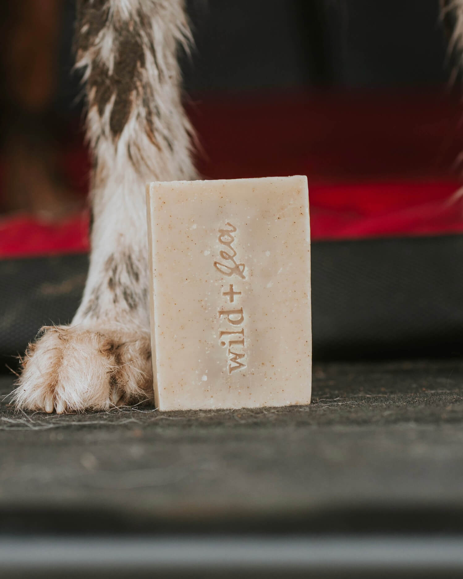 Natural Dog Shampoo Bar (Tea Tree & Clay)